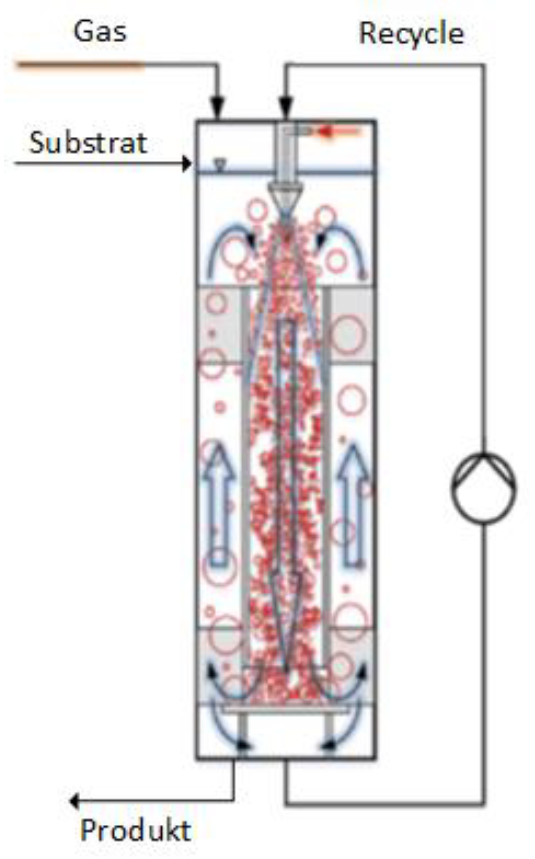 Schematic Representation of a Jetloop Reactor: Oben einfließend: Gas, Substrat, Recycle; unten: ausströmend: Produkt, Recycle, Im Jetloop: Zirkulationsstrom