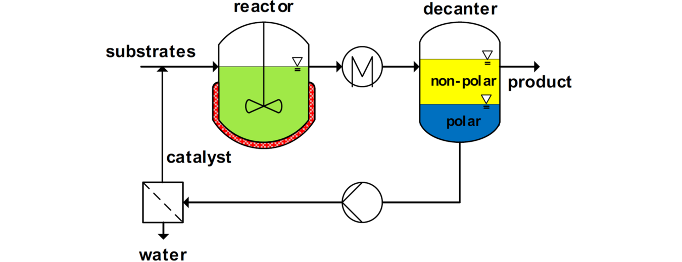 Prozessfließbild: substrate -> reactor -> wärmetauscher -> decanter(->non-polar zu product) -> Rückführung des polaren wobei wasser abtrennt wird und nur der katalysator zurückgeführt
