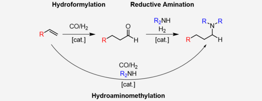 Reaktion: R-C=C ->(+CO/H2+Kat) R-C-C-CO-H [Hydroformylation] -> (+R2NH+H2+Kat) R-C-C-NR'R''-H [Reductive Amination] oder R-C=C ->(+CO/H2+R2NH+Kat) R-C-C-NR'R''-H [Hydroaminomethylation] 