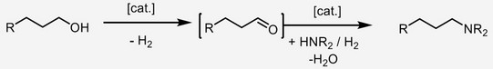 Reaction: R-C-C-C-OH ->(-H2+cat.) [R-C-C-C=O] ->(+cat.+HNR2/H2-H2O) R-C-C-C-NR2