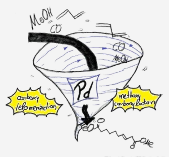 Schaubild: Tornado mit Beschriftung Pd in den MeOH, CO, Diethen gesaugt wird und unten kommt a,w-C10-Diester raus, Seitenbeschriftung neben tornado: carboxy telomerization, methoxy carbonylation