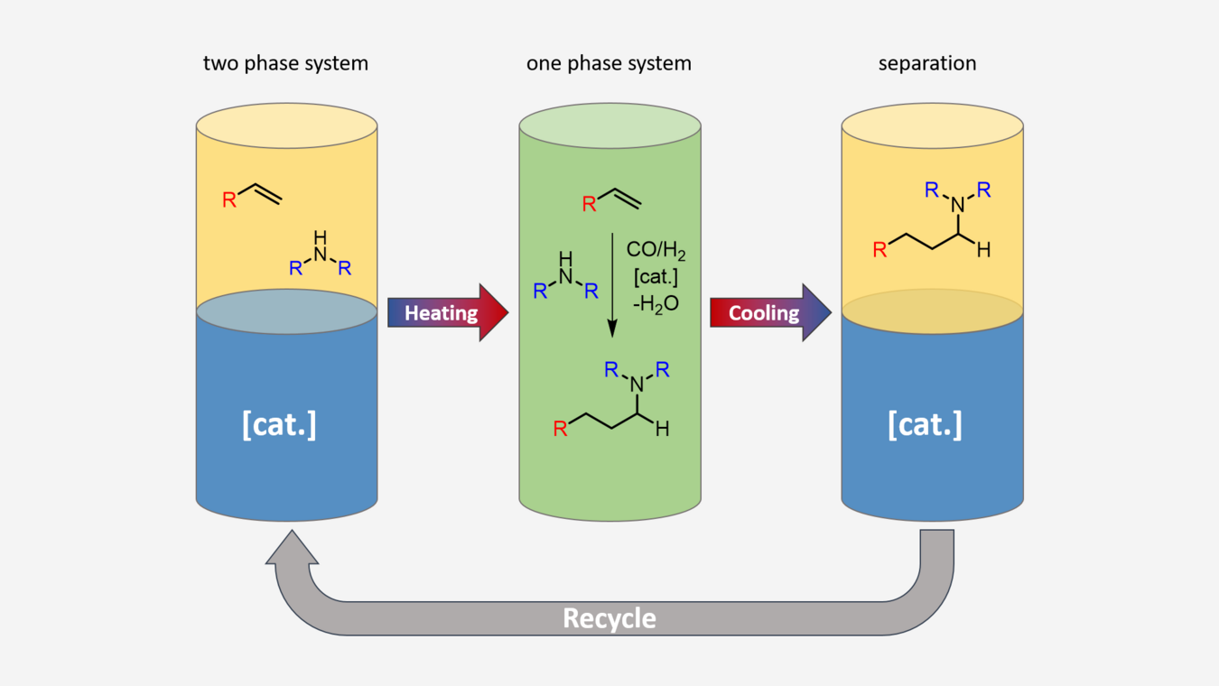 Reaktion: two phase System: R-C-C-CO-H + C-C-NH-C-C -> (Heating) -> one phase system:(+H2+Kat -H2O) R-C-C-C-NR'R''-H -> (Cooling) -> seperation: -> Recycle or ->  R-C-C-C-NR'R''-H or -> R-C-NH-C-Ror H2O