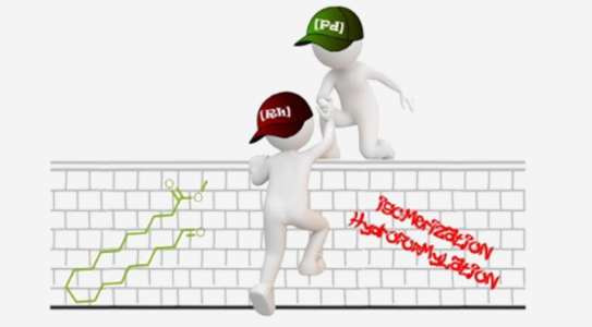 Mensch mit Cap mit der Aufschrift [Pd] hilft Mensch mit Cap mit der Aufschrift [Rh] über eine Mauer die mit "Isomerization" und "Hydroformylation" und der Strukturformel von einer ungesättigten Fettsäuremethylester beschriftet ist