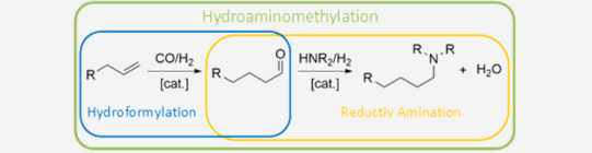 Reaktion Hydroaminomethylation: R-C-C=C ->(+CO/H2+cat.) R-C-C-C-C=O (Hydroformylation) ->(+HNR2/H2+cat.) R-C-C-C-C-NR2 + H2O ( Reductiv Amination)