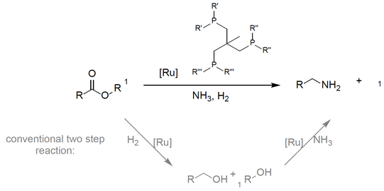 Reaktion: One step: R-CO-O-R1 ->(+NH3+H2+cat.[Ru]) R-C-NH2 + R1-OH; Two step R-CO-O-R1 ->(+H2+cat.[Ru]) R-C-OH+R1-OH ->(+NH3+cat.[Ru]) R-C-NH2 + R1-OH