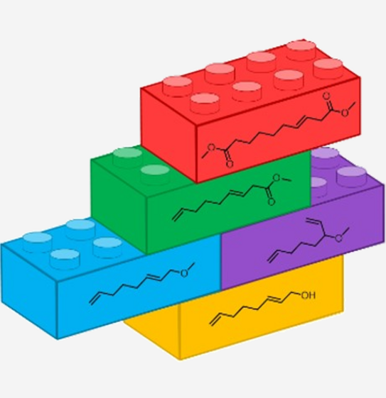 Bausteine aufeinander gestapelt mit Strukturformeln, von unten nach oben: 2,7-octadienol, 2-Methoxy-3,8-nonen und 2-Methoxy-2-Ethylen-6-Hepten, 3,8-nonenethylester, a,w-diester