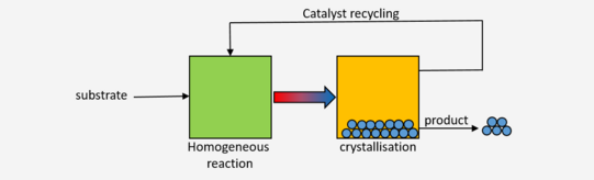 Schaubild substrate-> homogenous reaction -> crystallisation (->catlyst recycling) -> product