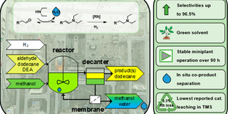 Graphical Abstract TMS