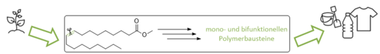 Graphical Abstract nutzung von Oleochemikalien