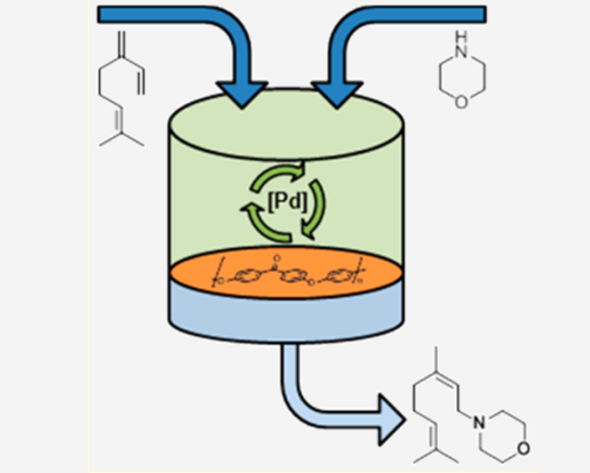 Schaubild Membrane Reactor