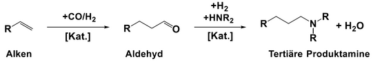 Alken ->(+CO/H2+cat.) Aldehyd ->(+H2+NHR2+cat.) Tertiäre Produktamine + H2O