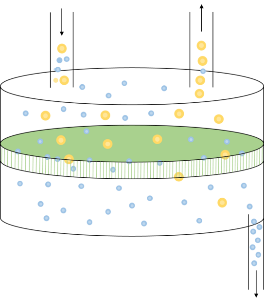 Schaubild Trennung von Partikeln durch eine Membran