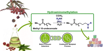 Graphical Abstract Hydroaminomethylation von Methyl 10-undecenoate