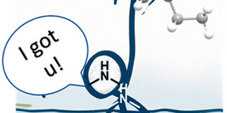 Graphical Abstract