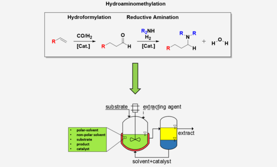Oben: Reaktion (Hydroaminomethylation): R-C=C ->(+CO/H2+Kat) R-C-C-CO-H [Hydroformylation] -> (+R2NH+H2+Kat) R-C-C-NR'R''-H [Reductive Amination] oder R-C=C ->(+CO/H2+R2NH+Kat) R-C-C-NR'R''-H [Hydroaminomethylation]