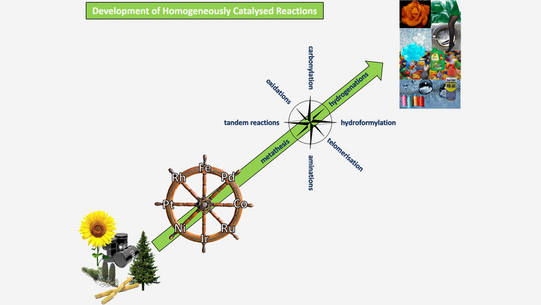 Schaubild: Development of Homogeneously Catalysed Reactions: Feedstock(organic, oil etc.) -> steering wheel (Rh, Fe, Pd, Co, Ru, Ir, Ni, Pt) -> Himmlsrichtungen beschriftet (starting north,clockwise; carbonylation, hydrogenation, hydroformylation, telomerisation, aminations, metathesis, tandem reactions, oxidations) -> Endprodukte