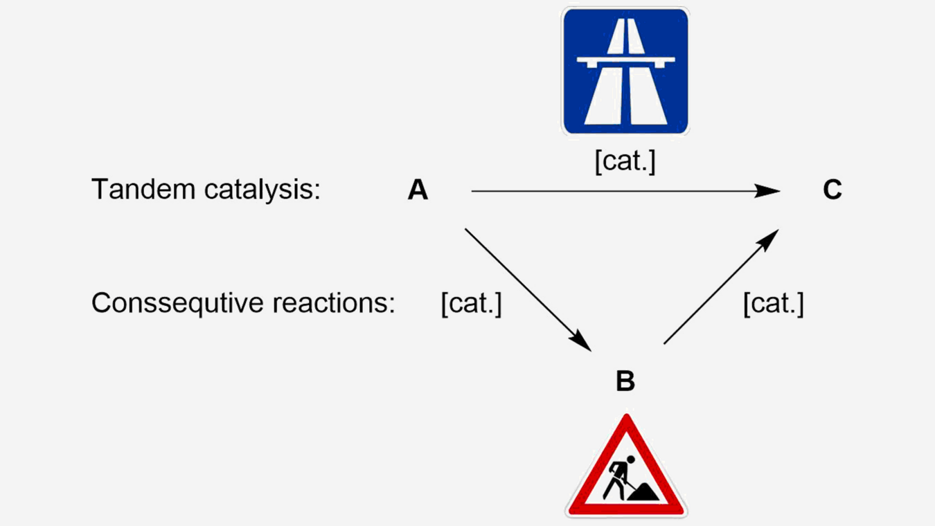 Reaktionsweg Tandem Katalyse: Reaktionsweg 1 ohne Zwischenprodukt über Katalysator (schnell): Reaktionsweg 2: über zwischenprodukt, vom gleichen Katalysator wie 1 katlaysiert (langsam)