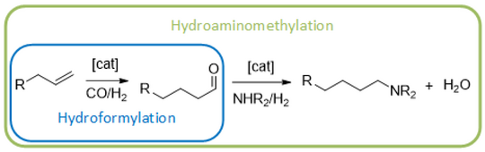 Reaktion: Hydroaminomethylation: R-C-C=C ->(+CO/H2+cat.;Hydroformylation) R-C-C-C=O ->(+NHR2/H2+cat.) R-C-C-C-C-NR2 + H2O