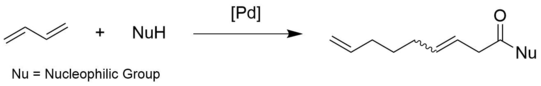 Reaktion 1,3- Dibuten und NuH (Nu = Nucleophilic Group) unter Palladium Katalyse zu langkettigem Keton mit Nu Gruppe 