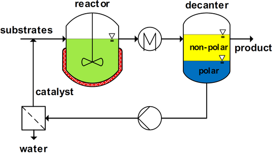 Prozessfließbild: substrate -> reator -> wärmetauscher -> decanter(->non-polar zu product) -> Rückführung des polaren wobei wasser abtrennt wird und nur der katalysator zurückgeführt
