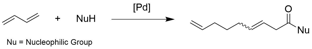 Reaktion 1,3- Dibuten und NuH (Nu = Nucleophilic Group) unter Palladium Katalyse zu langkettigem Keton mit Nu Gruppe 